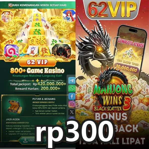 rp300 screenshot
